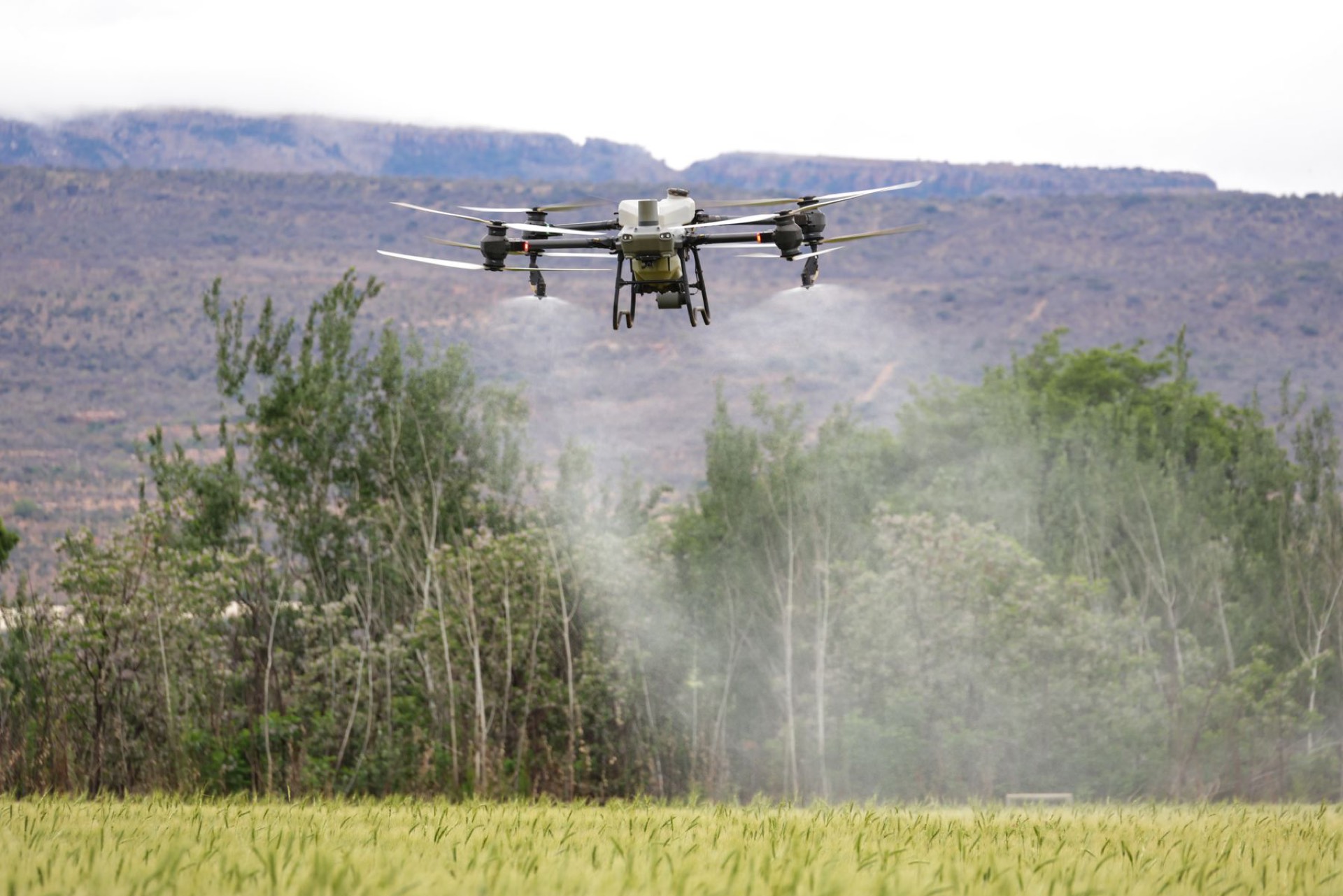 Agricultural spray drone flying low over a crop field